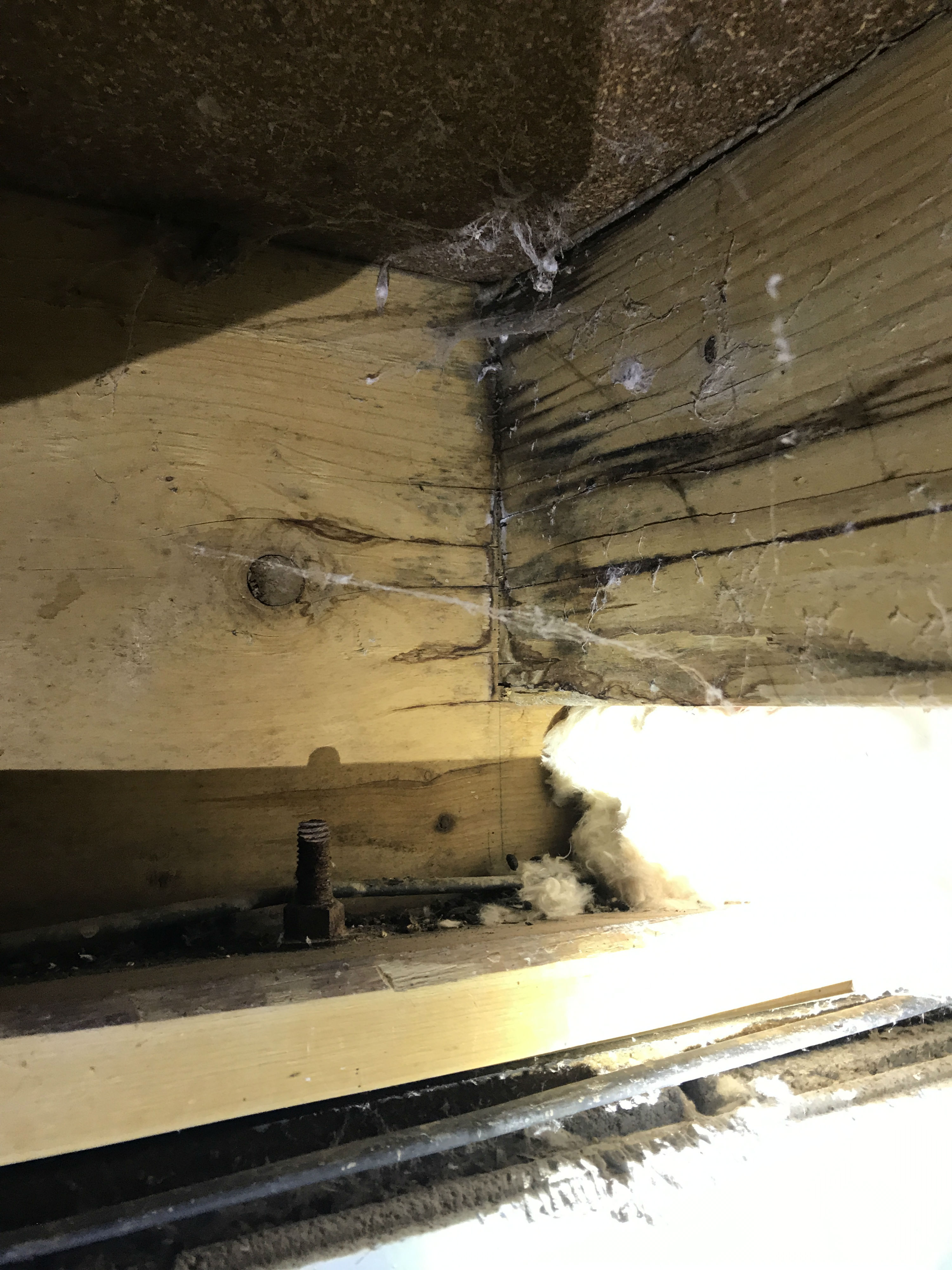 Dry Rot Evidence