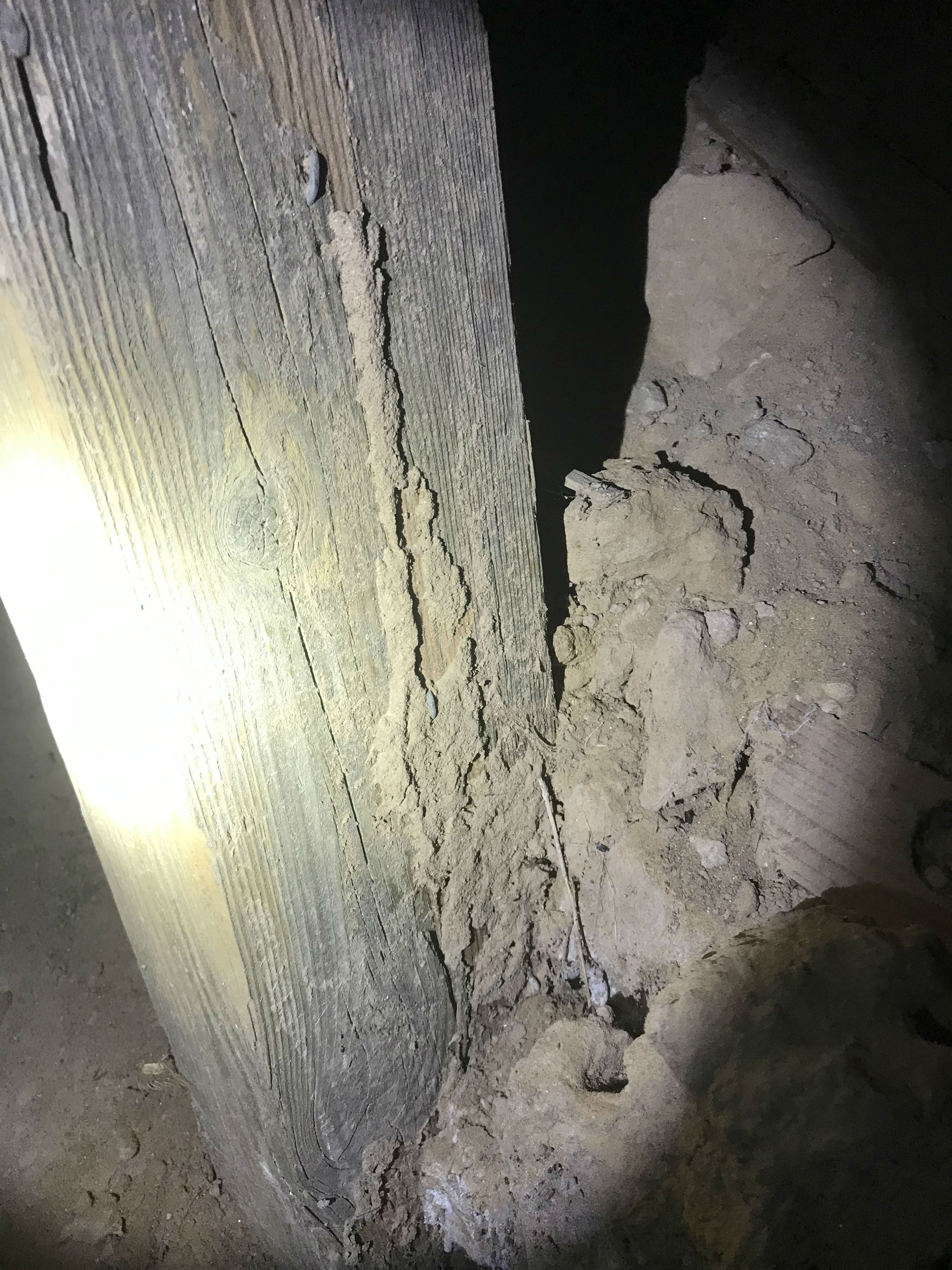Termite Shelter Tubing